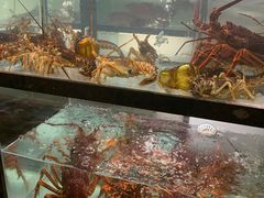 -甄御•海鲜新青岛菜(麦岛店)