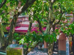 -蝶舍·MAISON PAPILLON