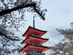 -东湖生态旅游风景区