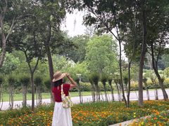 -苏州上方山国家森林公园