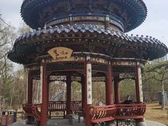 -迎泽公园