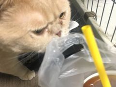 -麦当劳(虹梅路地铁站店)