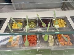-Salud撒露欧洲冻酸奶(798艺术区店)