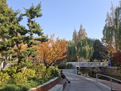 -兰溪青年公园