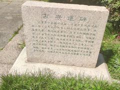 -上海方塔园