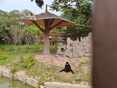 -深圳野生动物园