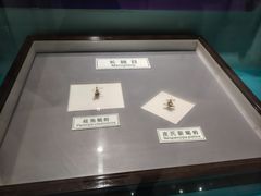 -上海昆虫博物馆