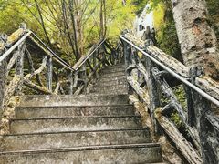 -汤旺河林海奇石景区