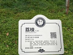 -国恩寺