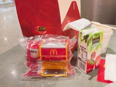 -麦当劳(北京大兴机场二层国内到达(安检外)店)