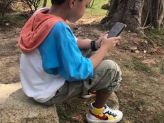 -铁山坪森林公园