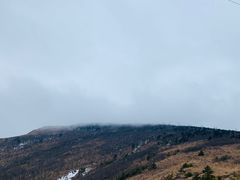 -秦岭风景区