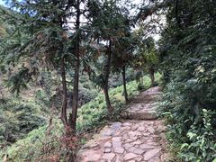 -东白山