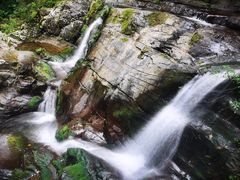 -江西阳明山国家森林公园