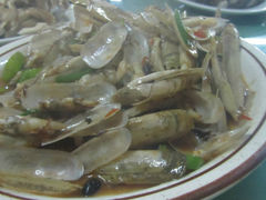 -沙扒湾