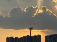 -光明港公园