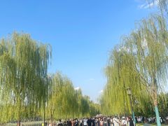 -西湖游船