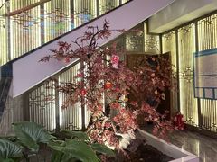 -解家河南菜(金水路店)