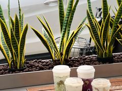 -喜茶(东莞汇一城店)