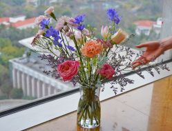 -新寰亚月子会所(金鸡湖凯宾店)