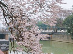 -红星桥(地铁站)