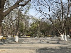 -山东大学(趵突泉校区)