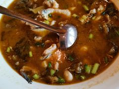 -胖大姐黄辣丁鱼庄(新津店)