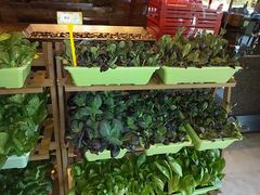 biangbiang面-西安凯悦酒店·湖畔中餐厅