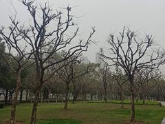 -文华公园(禅城区)