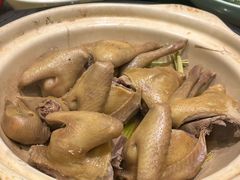-郑猛记石岐鸽主题餐厅(长江店)