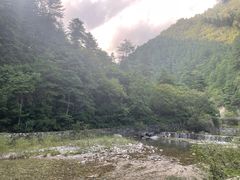-朝阳沟