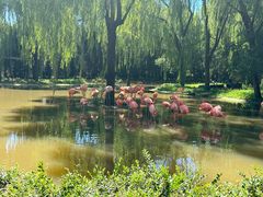 -石家庄市动物园