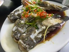 清蒸石头鱼-阿清嫂农家乐.黎窑烤鸡