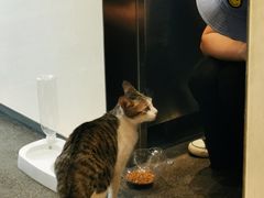 -MQ COFFEE STAND明谦(新洲店)