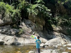 -陕西省红河谷森林公园