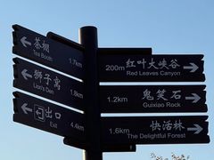 -北京西山国家森林公园