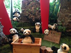 -济州岛泰迪熊博物馆