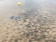 -日照海滨国家森林公园
