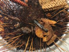 -杨姨老益阳麻辣烫(林科大店)