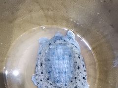 -湘君私厨.16年湘菜店(金匙望湖店)