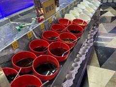 -海韵之星邮轮水会(明发商业广场店)