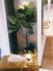 点击看大图 -Garden花園造型