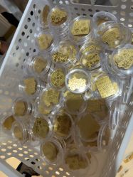 -永锦黄金加工·回收打金店(上海南翔店)