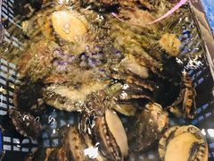 -高老庄新家宴(北斗星广场店)