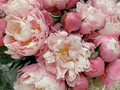 -花邻FloweringLife花艺气球派对(武康大楼店)