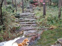-黄公望隐居地