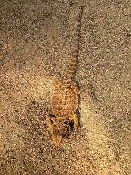 -酷嗒动物文化乐园(cutezoo西溪乐天城店)