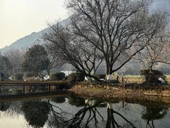 -八卦田遗址公园