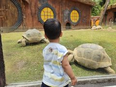 -贵州森林野生动物园