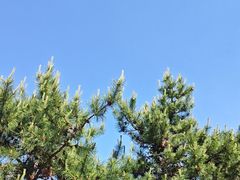 -莫子山公园